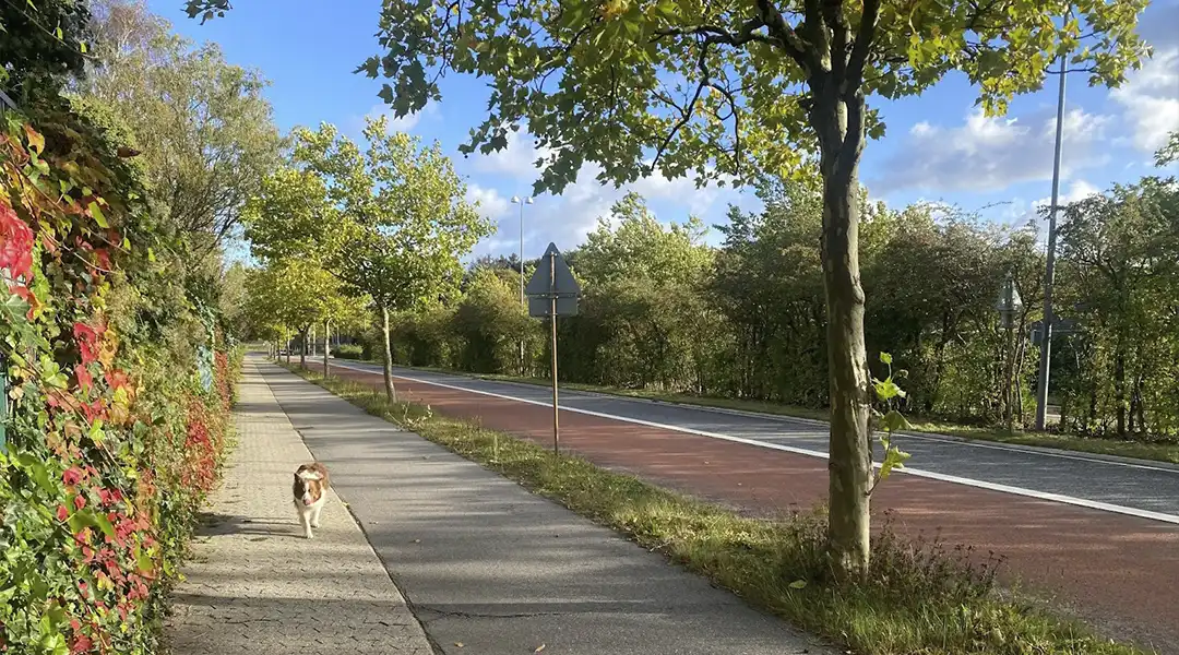 Fremtidens Furesø på Furesøs præmisser